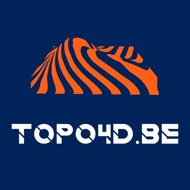 Topo4D logo